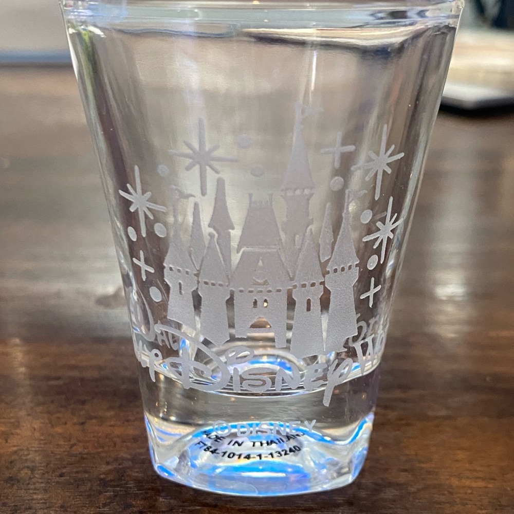 Disney Walt Disney World Castle Shot Glass